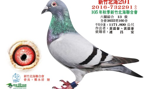 优克是什么药-优克药品名是治什么功效,中国优克止痒洗剂主治什么网站