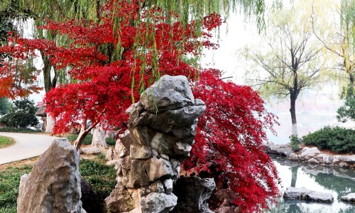 优克舒软膏作用-优克是什么药-优克药品名是治什么功效,中国优克止痒洗剂主治什么网站
